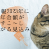 【朗報】2023年度の公的年金額が1%ほど上がる見込み