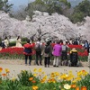 京都府立植物園