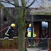 犠牲になる動物たち　イギリスで相次いだ動物園/サファリパークの火災