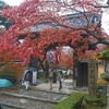 湖東三山～金剛輪寺～