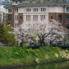 桜の咲く街・各駅停車の旅編②『九段下駅・牛ヶ淵・千鳥ヶ淵』