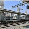 柴島浄水場の桜の通り抜け