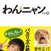 エサを上手くキャッチ出来ない犬…