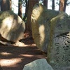 津軽地方の庚申塔 #200（弘前市鬼沢・堂ヶ沢稲荷神社）