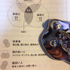 知性の種類と馬鹿の種類〜コンサルタント的知性について（２）