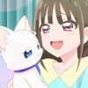 わんだふるぷりきゅあ！ 第4話 「猫屋敷の猫とまゆ」 感想