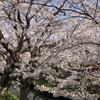 大河ドラマ『花神』の大村益次郎