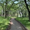 実走！名古屋RUNコース vol.112「横井山緑地（名古屋市中村区）」。