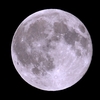 「月」の撮影　2023年4月6日(機材：ミニボーグ67FL、7108、E-PL8、ポラリエ)