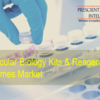 Molecular Biology Kits & Reagents and Enzymes Market Growth Drivers and Segment Analysis 2022