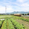 熱中症みたいな暑さの中　高松築港に向かう車両を2回撮影