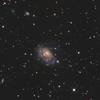 Arp184(NGC1961) <Camelopardalis>
