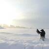 足跡ひとつない新雪を歩く贅沢なオサンポ。