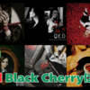 【音楽】Acid Black Cherryの物語は終わっていない。という事で、改めて振り返ってみるか！