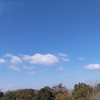 特養オープンで寝落ち😪