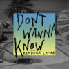 Maroon 5 – Don’t Wanna Know ft. Kendrick Lamarのサビ・コーラスの歌詞和訳で覚える英語