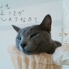 【断酒１５６日目】今年の目標６４個