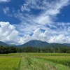 2023/08/03 木曜日　くるみパンの日