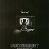 トビー・フーパー監督作品　ポルターガイストについて　Directed by Tobe Hooper About Poltergeist