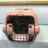 猫の鼻血はキケン！？