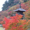 スーツ　削りどころ　鹿原公園