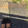 私はADHD！受診日記 part.3