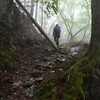 初夏終わる加持ヶ峰遊山　新樹