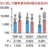 筋萎縮性側索硬化症に潜む免疫の異常：原因遺伝子産物C9orf72が自己免疫の標的に！！