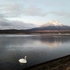 山梨・早朝の雪富士と山中湖・11月25日
