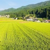 岡山県西粟倉村　-2日目-