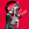 配信観劇その24『夏の夜の夢（A Midsummer Night’s Dream)』(Shakespeare’s Globe, 2013)