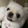 埼玉からハーバーカーニバル・・