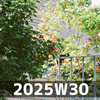 一日を整える習慣 (2025W30)