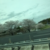 日本に戻って来た