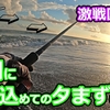 【#12】遠征でも釣れた〇〇が来ました🐟in田原サーフ【釣行日2023/10/31(火)】