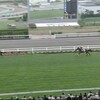 【2歳新馬2025】ショウナンガルフ強すぎ