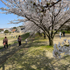 さくらロケハン&ウォーキング その2 ─ 2023.3.30 呉羽山公園都市緑化植物園 ─