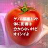 ゲノム編集食品で体がどうなるか日本人で実験　６　～障がい児と小学生で実験～