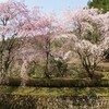 新四国曼陀羅霊場　桜 　第51番　龍澤寺　( 2011-04-09 )　４