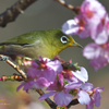 3月7日(月曜日)