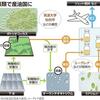 『藻から燃料！目指せ【産油国】』の事。