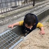 子供の成長と教育