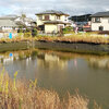 池の水まあまあ抜く