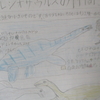 恐竜ではない生き物２　恐竜解説１