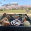 近所の公園でお花見ランチ(RF1)