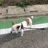 力み過ぎずに、ごきげんにいきましょ。