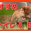 おすすめの猫トイレ＆猫砂はお掃除が楽チン！綺麗に洗いました。I washed the cat litter box cleanly. Easy to clean.