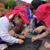 年中組✨ポップコーンの種まき🌱