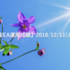 【デモ口座EA運用成績】2018/12/11(火)の成績