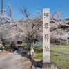 今年のソメイヨシノ満開時の神社参拝は隣市の洲原神社へ行った